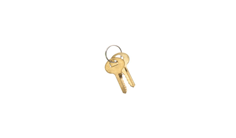 Keyed Trigger Lock