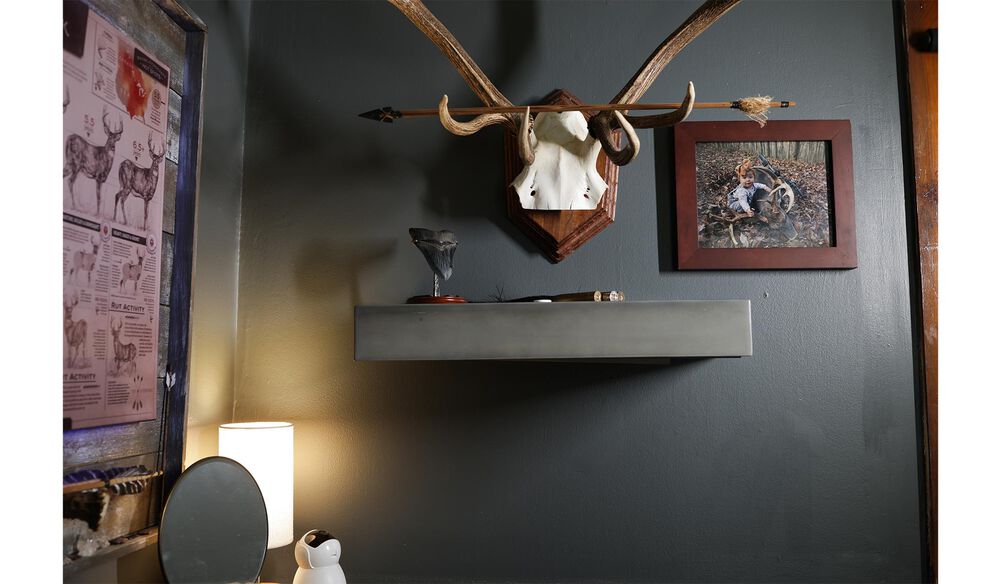 IN-PLAIN-SIGHT SHELF, FARMHOUSE 24