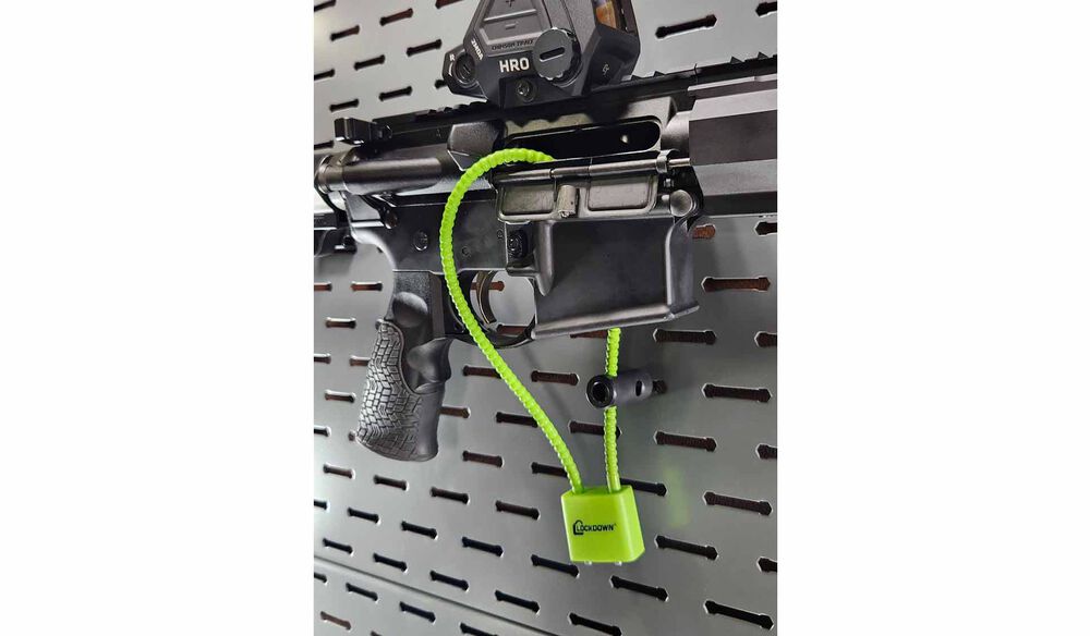 SecureWall Gun Lock