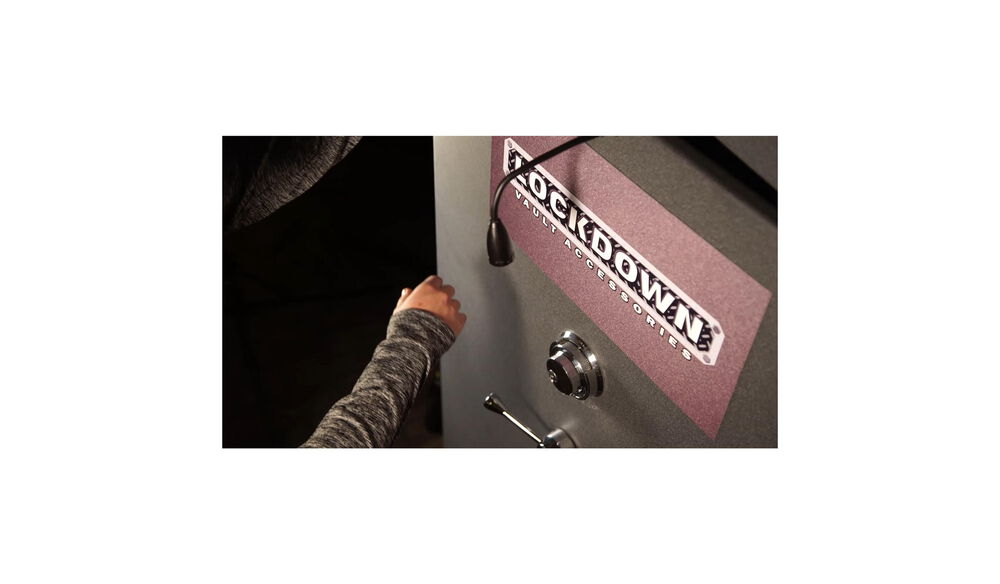 Lockdown Stealth Entry Light, 3 LED