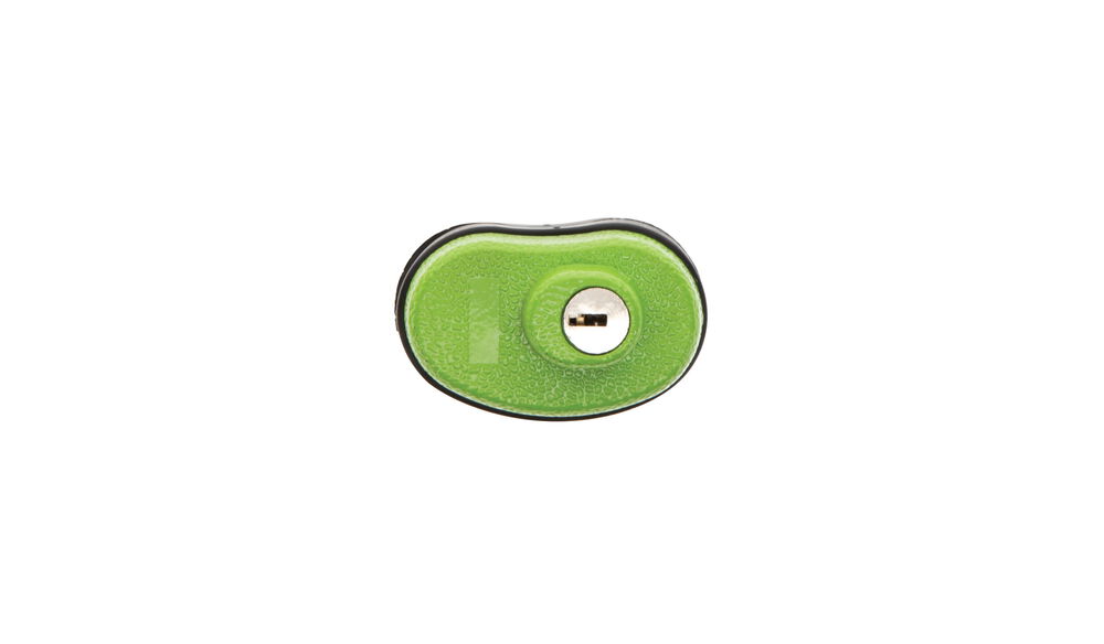 Keyed Trigger Lock